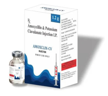 Amoxycillin clavulanate injection